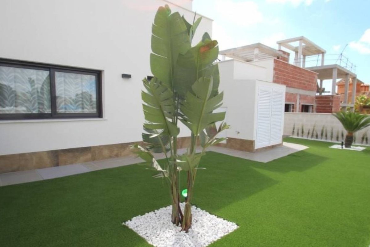 Property 32