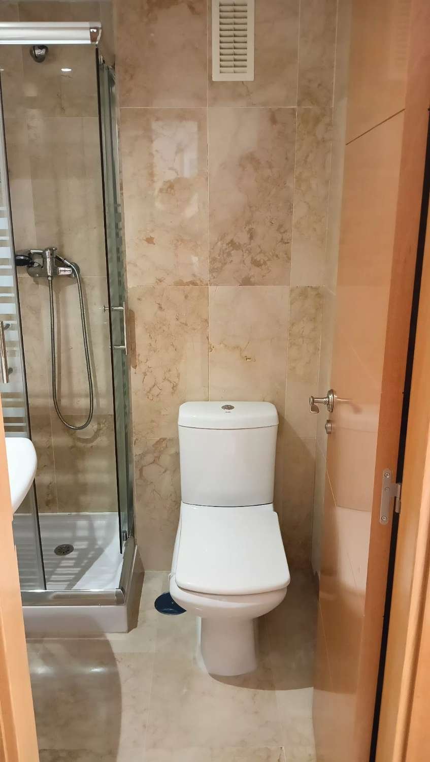 Propietat 31