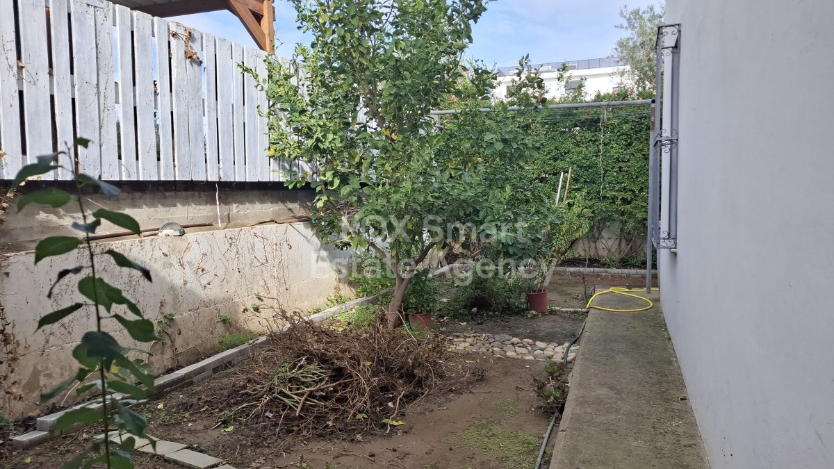 Property 19