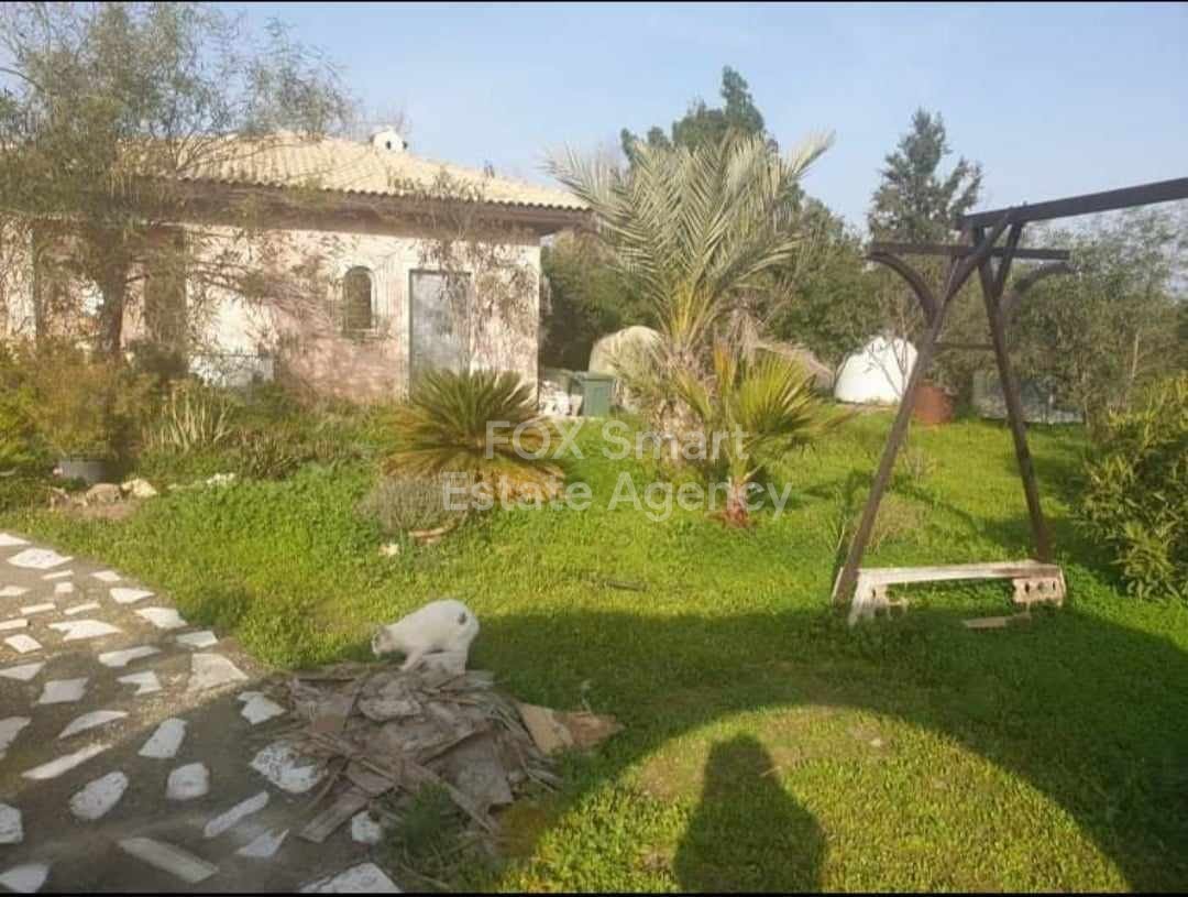 Property 19