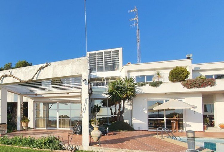 Property 38