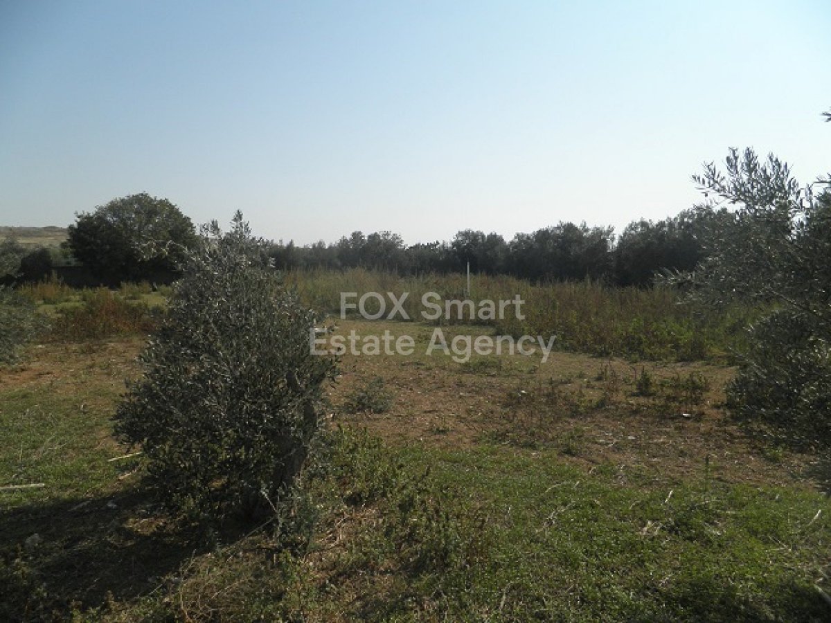 Property 5