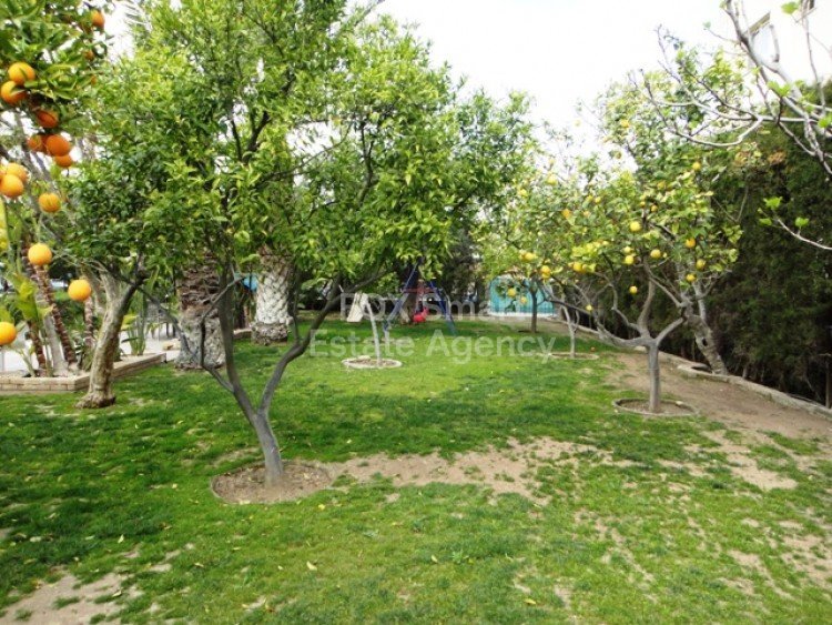 Property 24
