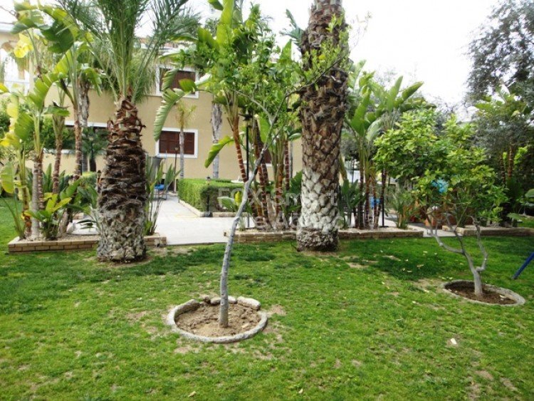 Property 26
