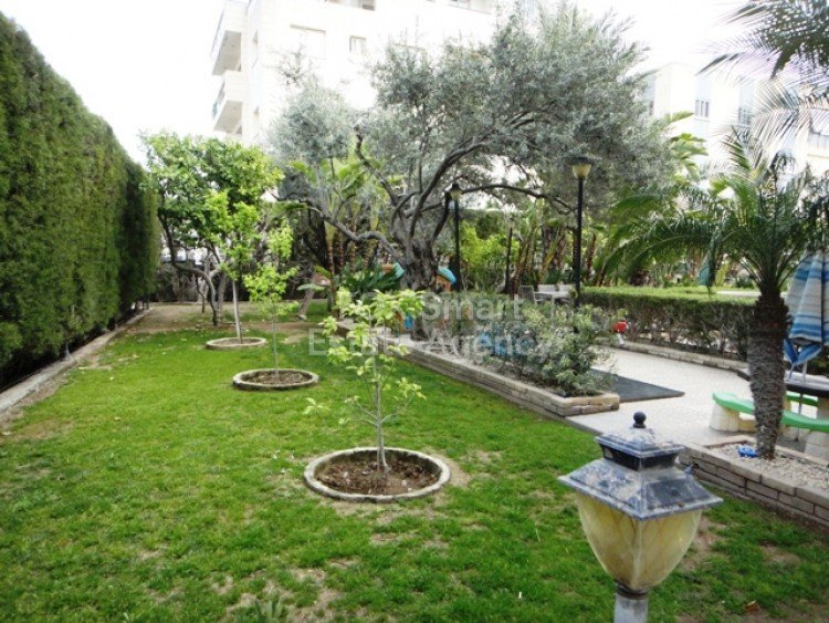 Property 29