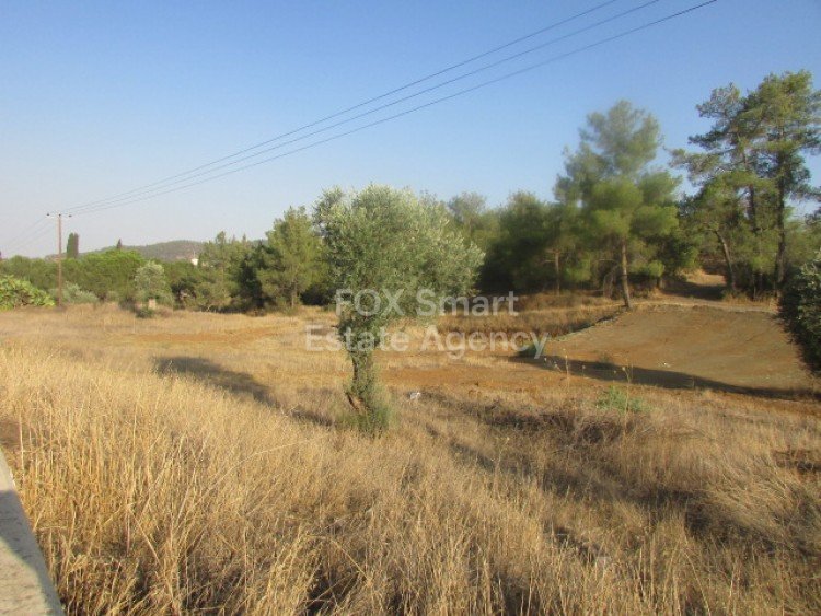 Property 26