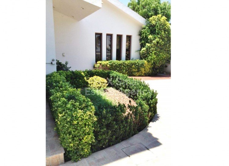 Property 31
