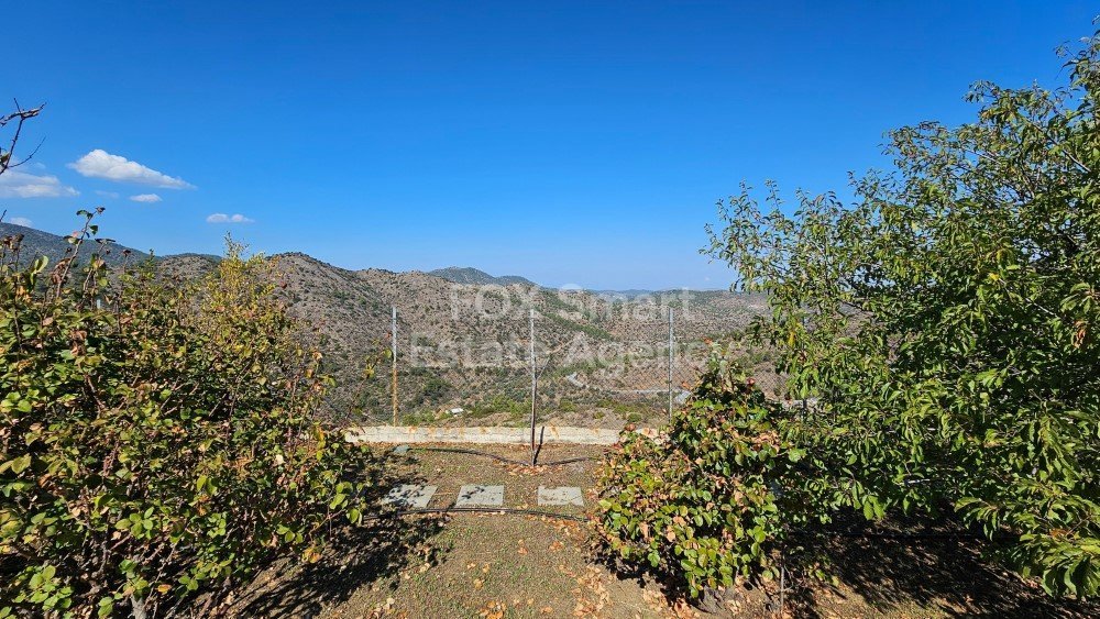 Property 21