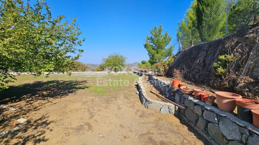Property 23