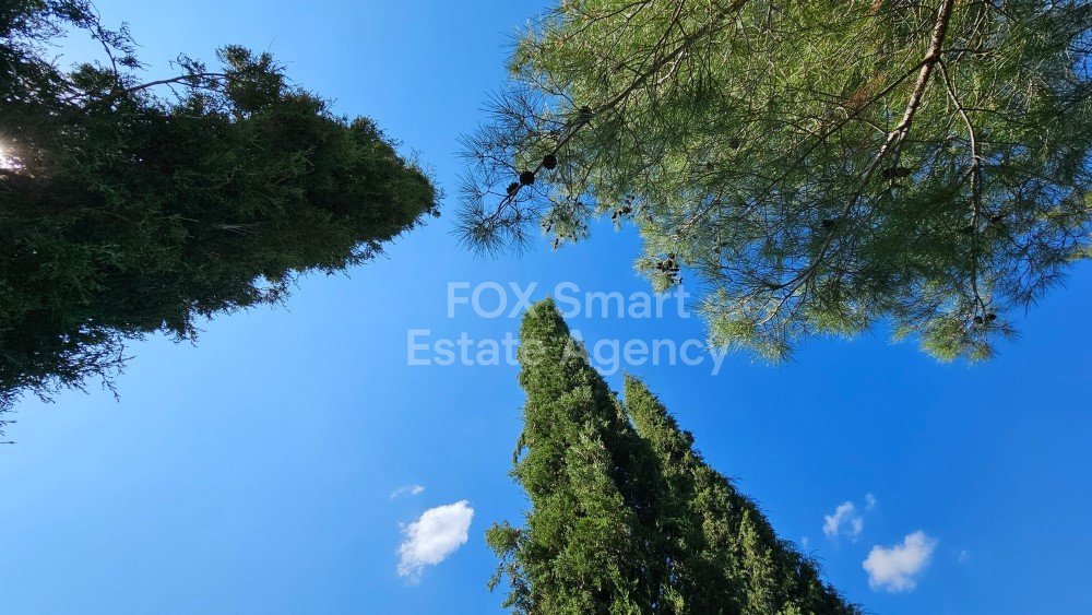 Property 26