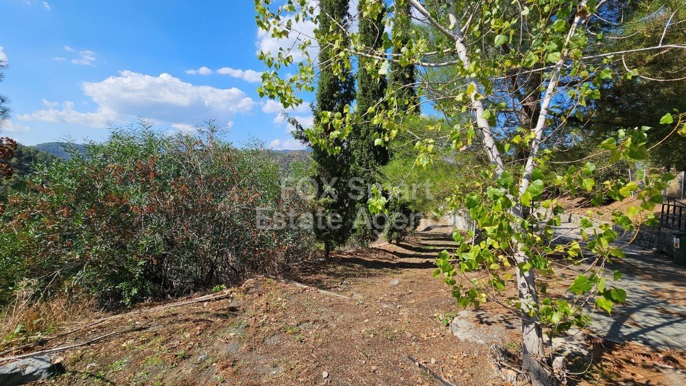 Property 28