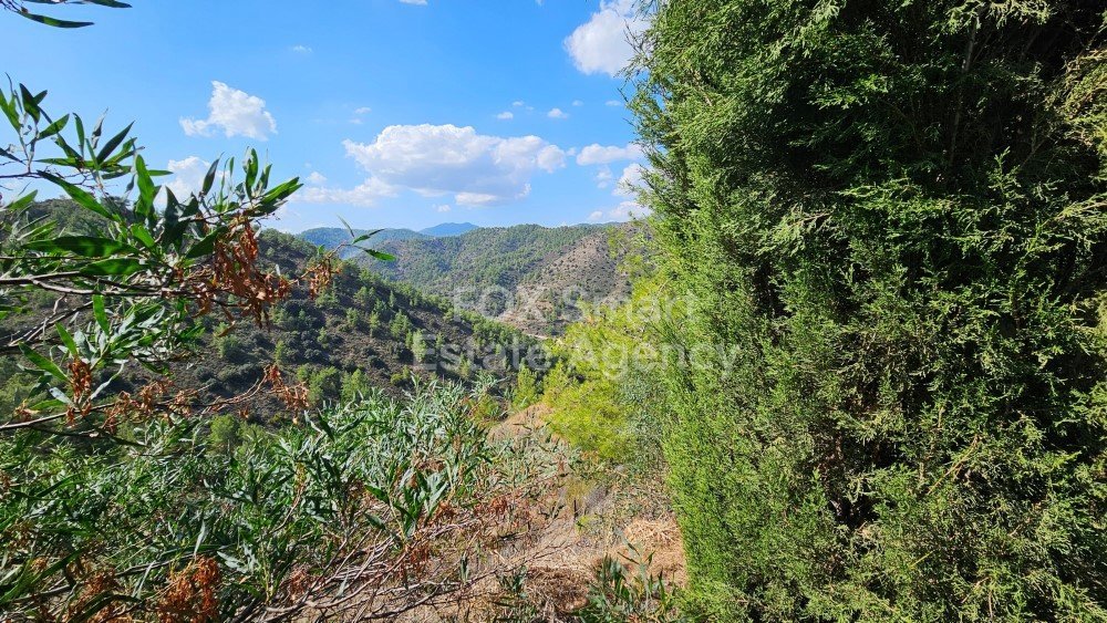 Property 29