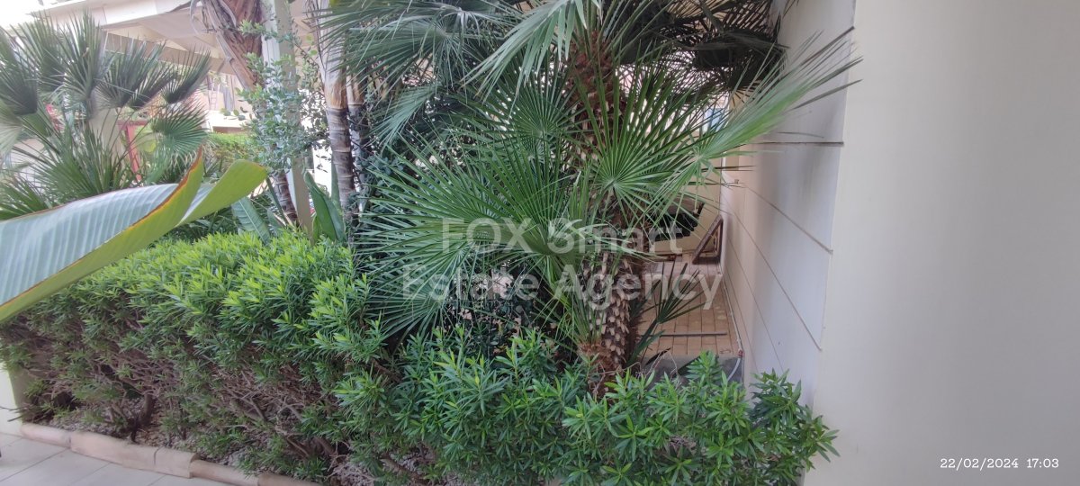 Property 38