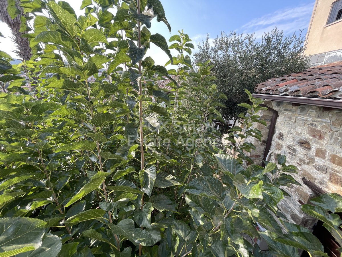 Property 29