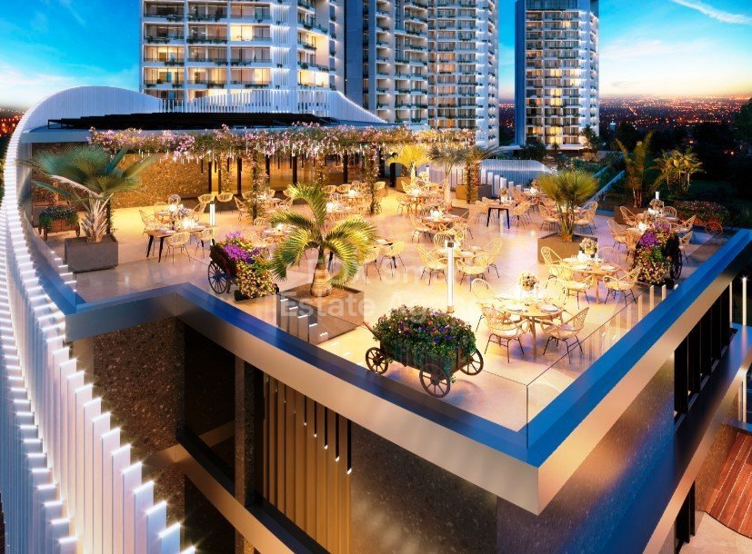 Property 23