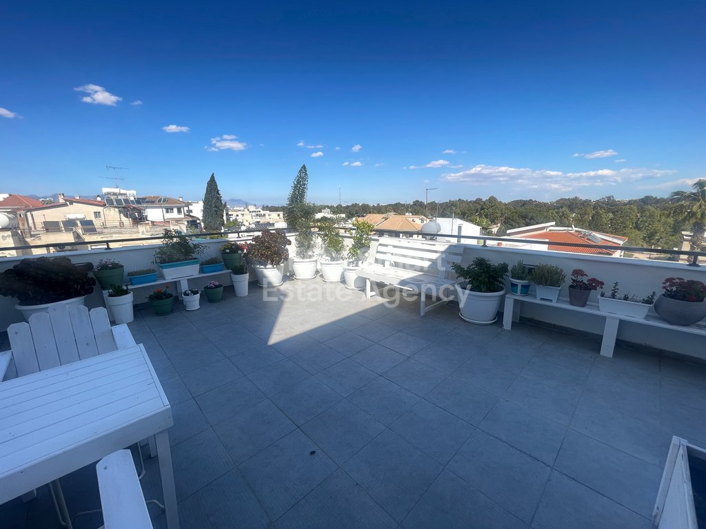 Property 32