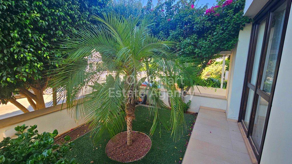 Property 36