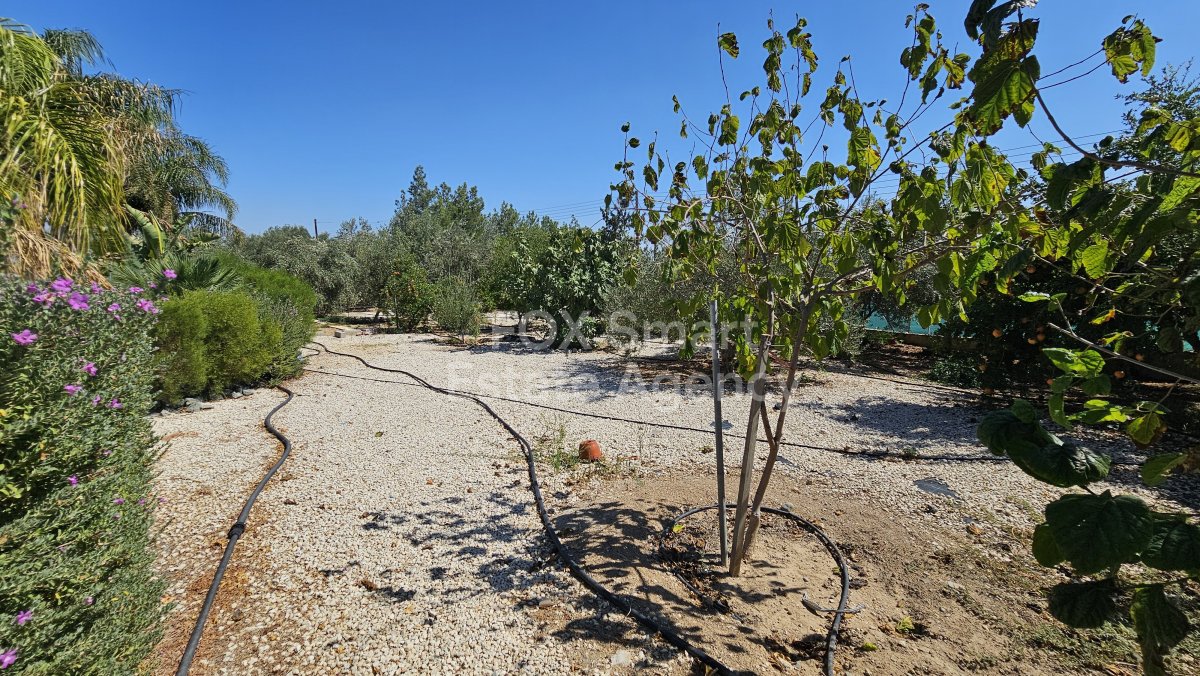 Property 35