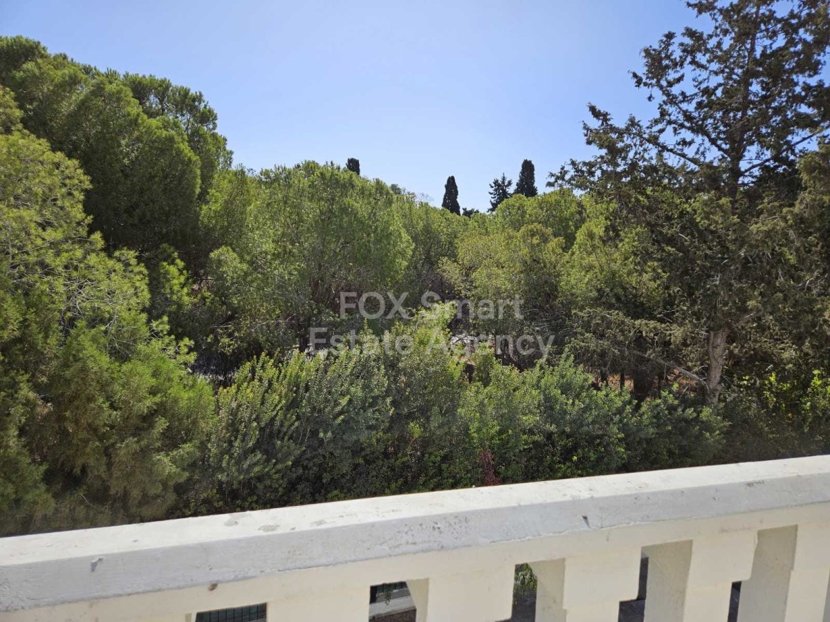 Property 33