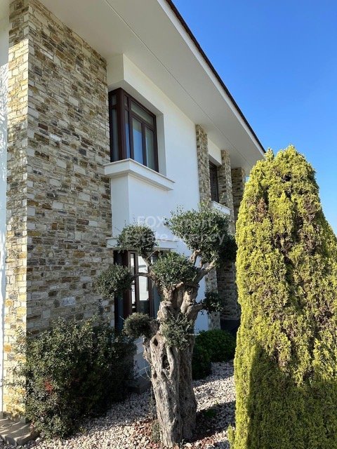 Property 19