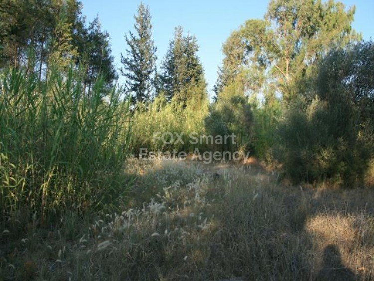 Property 5