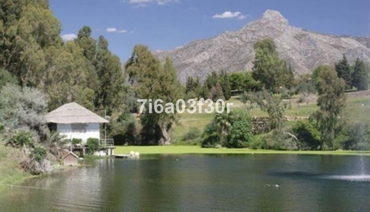 Property 38