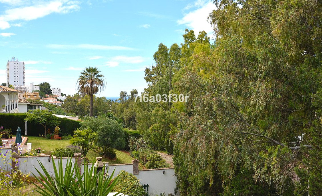 Property 31