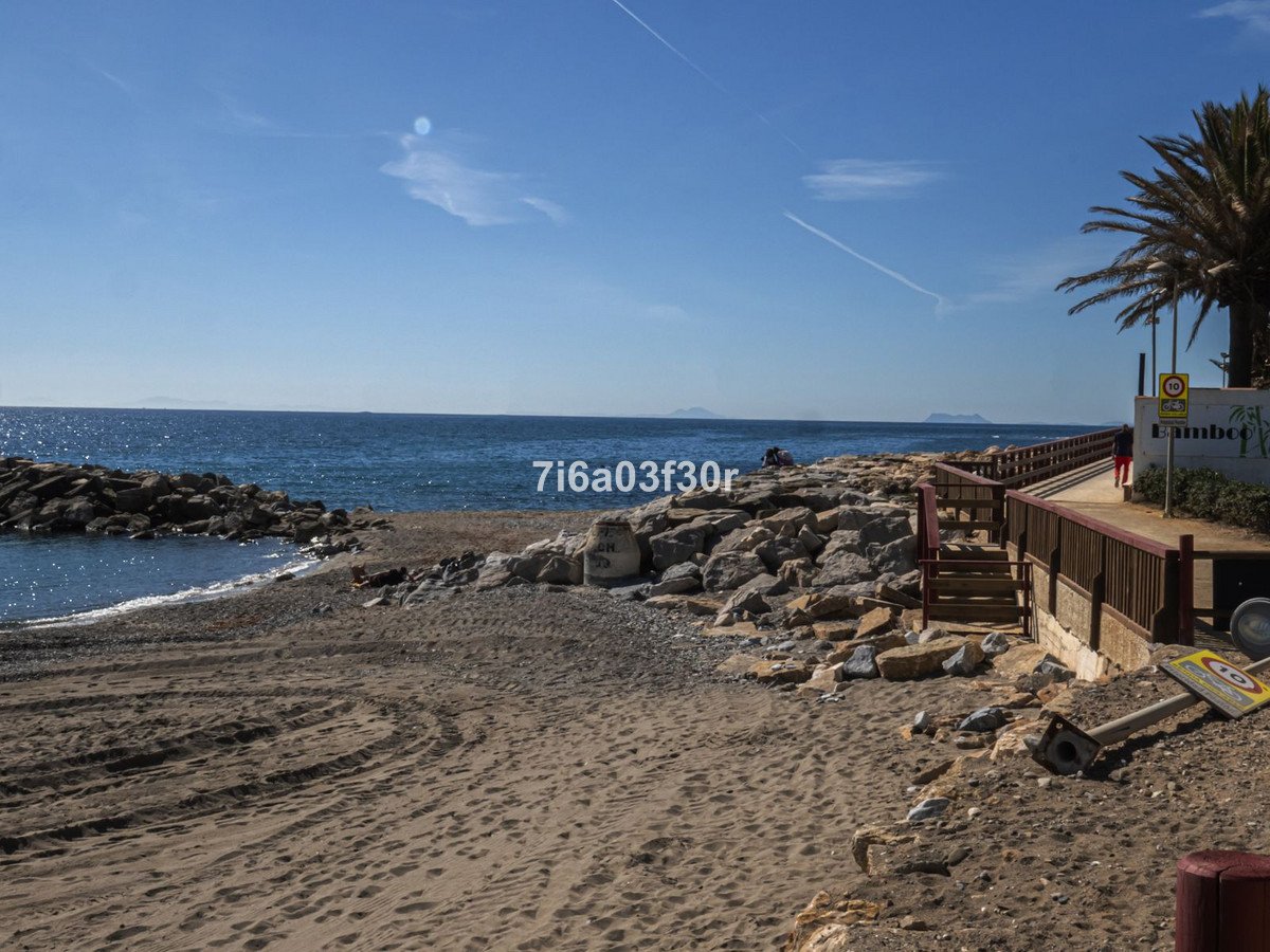 Property 36
