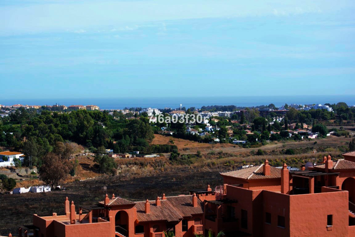 Property 26