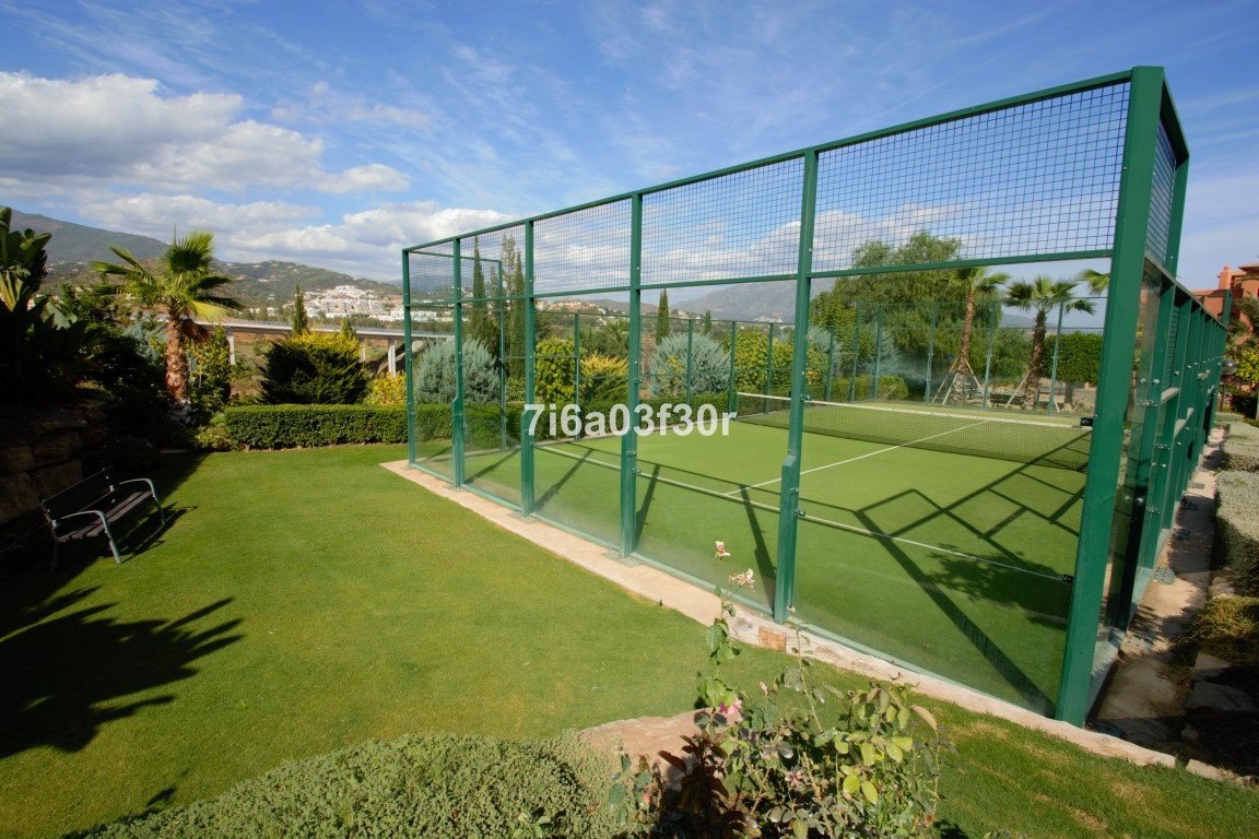 Property 32