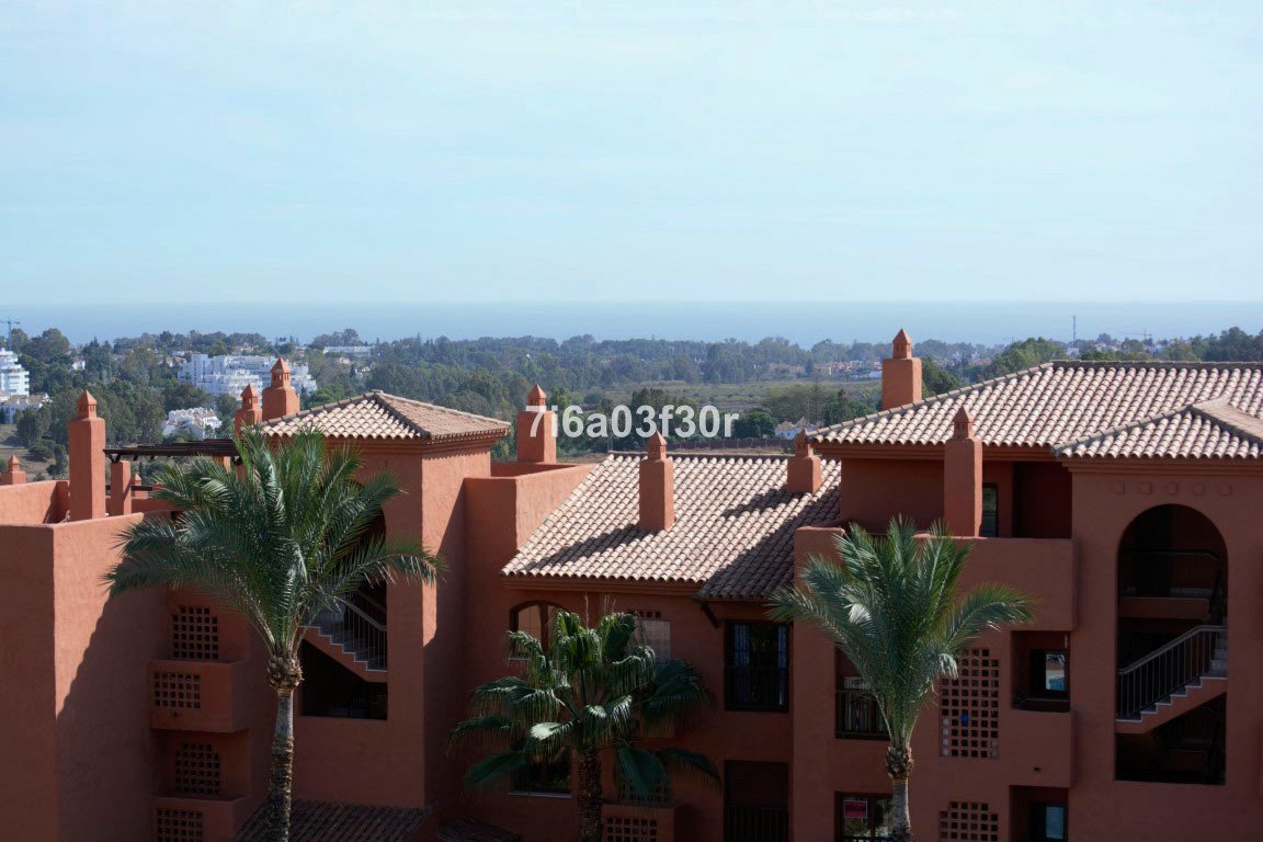 Property 38
