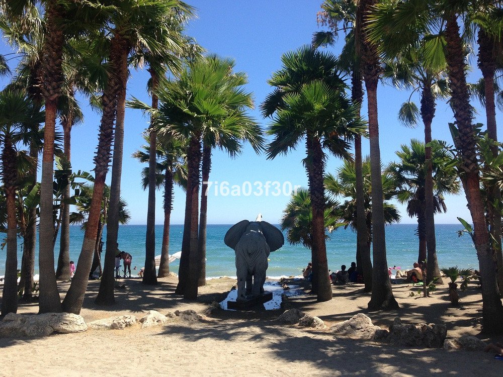 Property 21