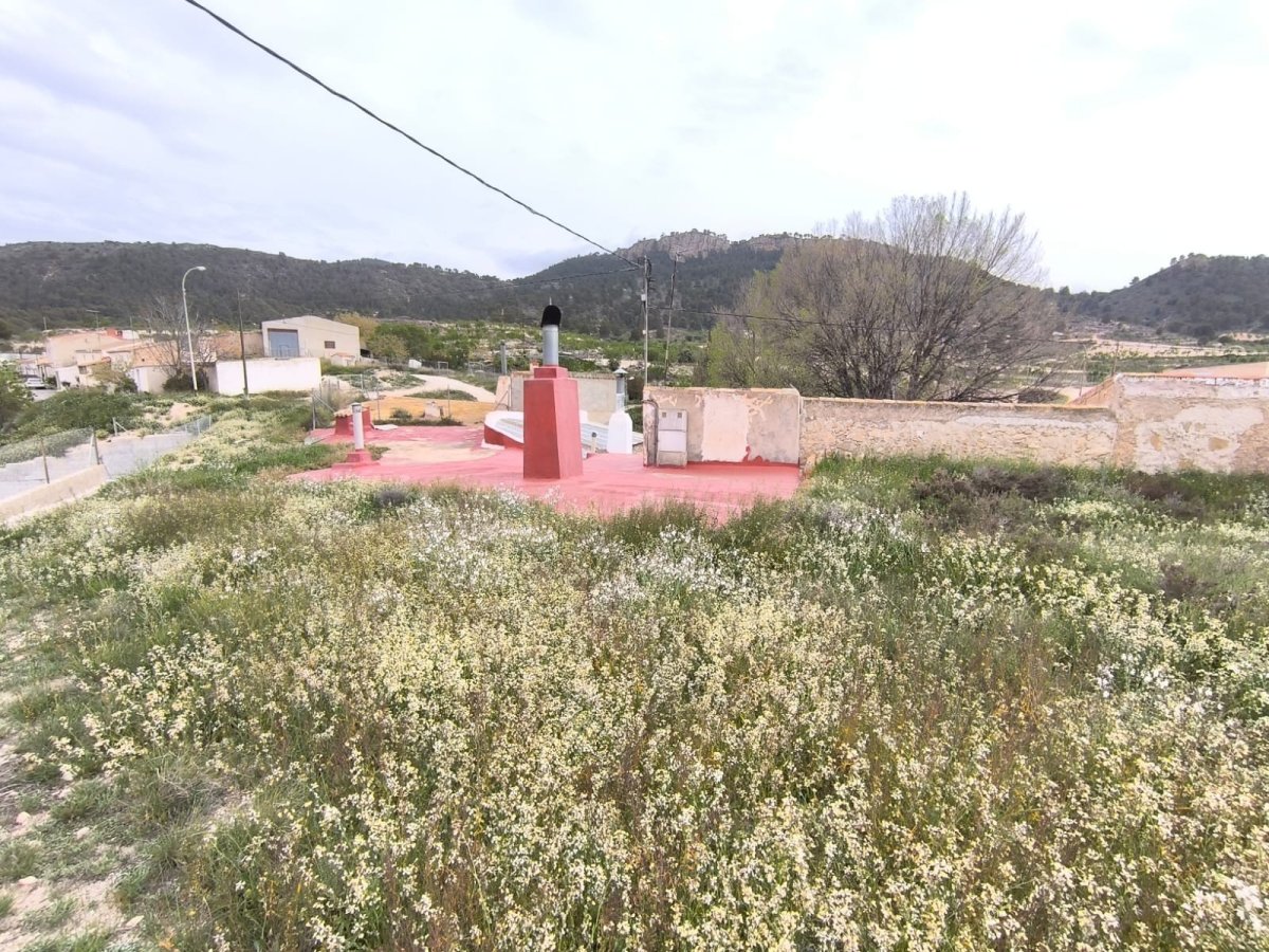 Propiedad 19