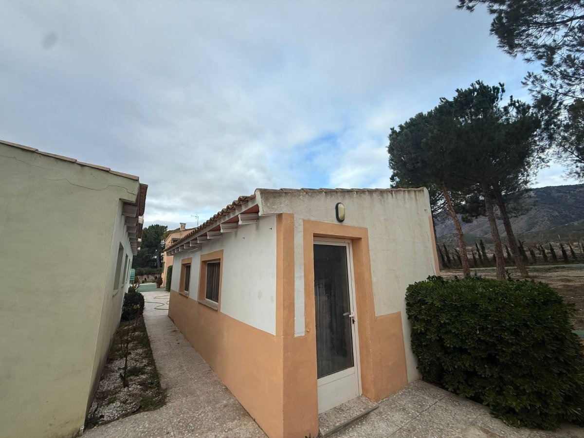 Propriedade 31