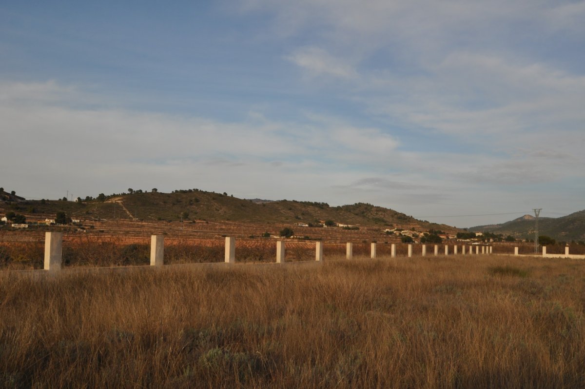 Propriedade 7
