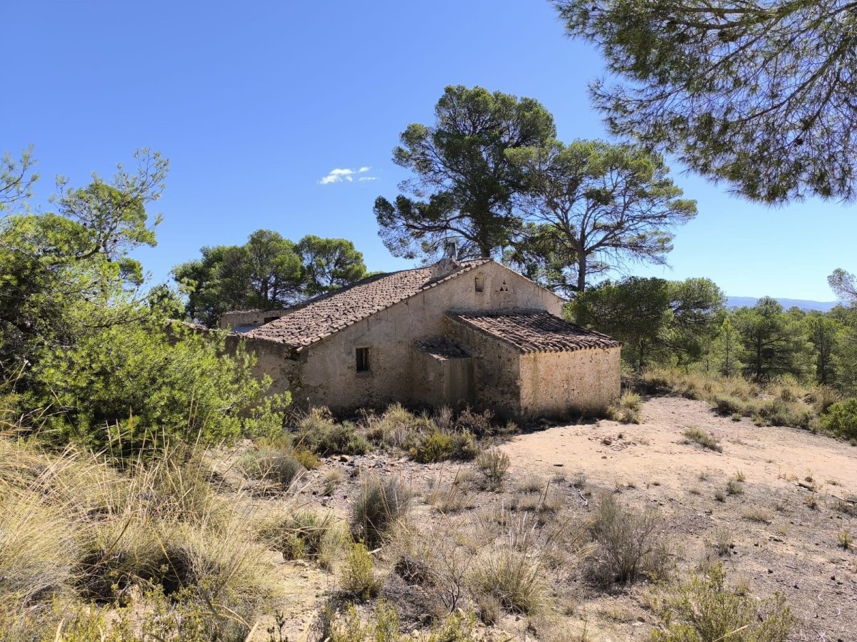 Property 1