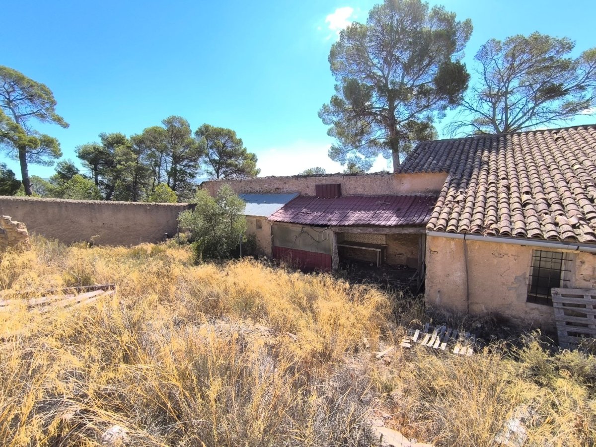 Property 5