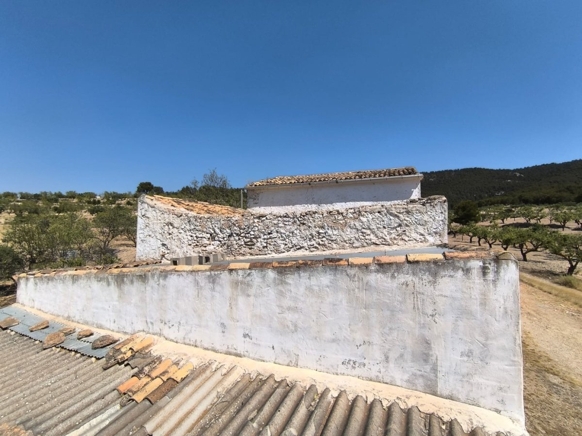 Propiedad 4