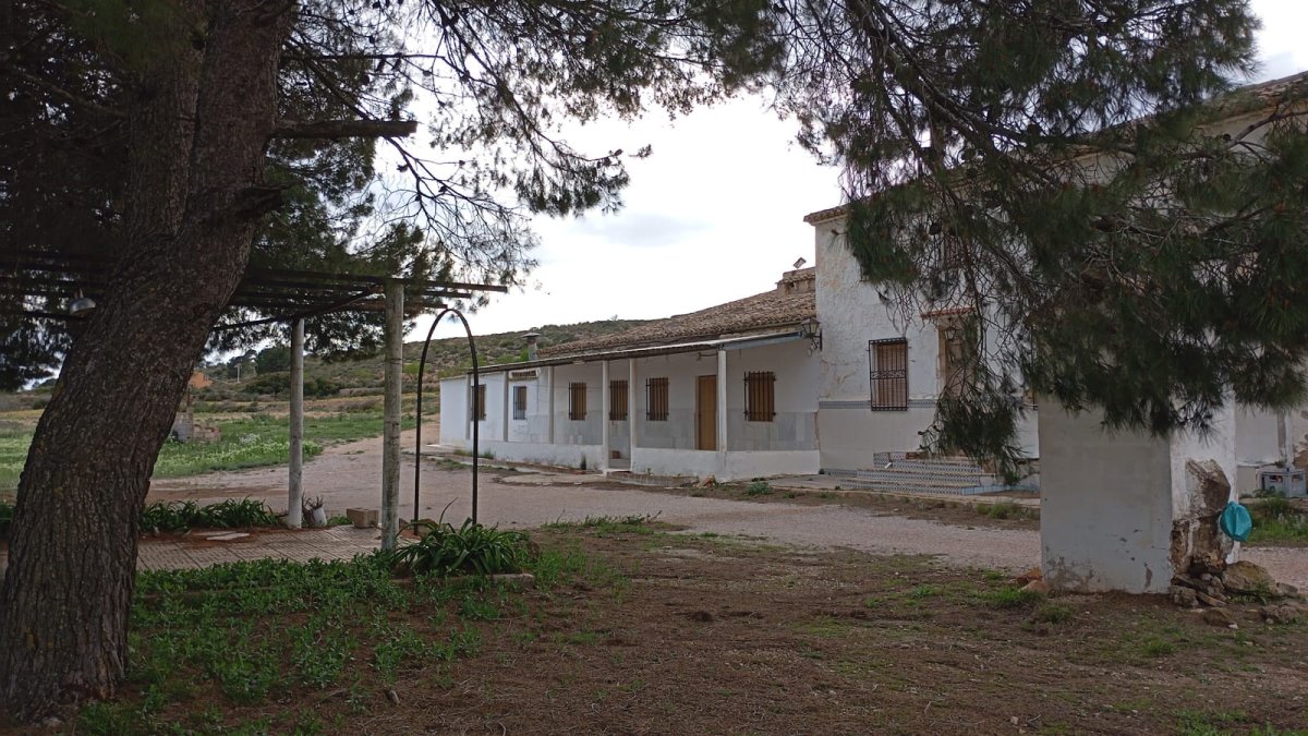 Propiedad 1