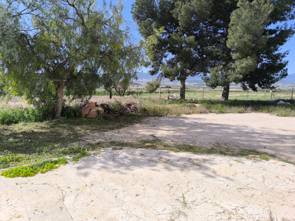 Propiedad 40