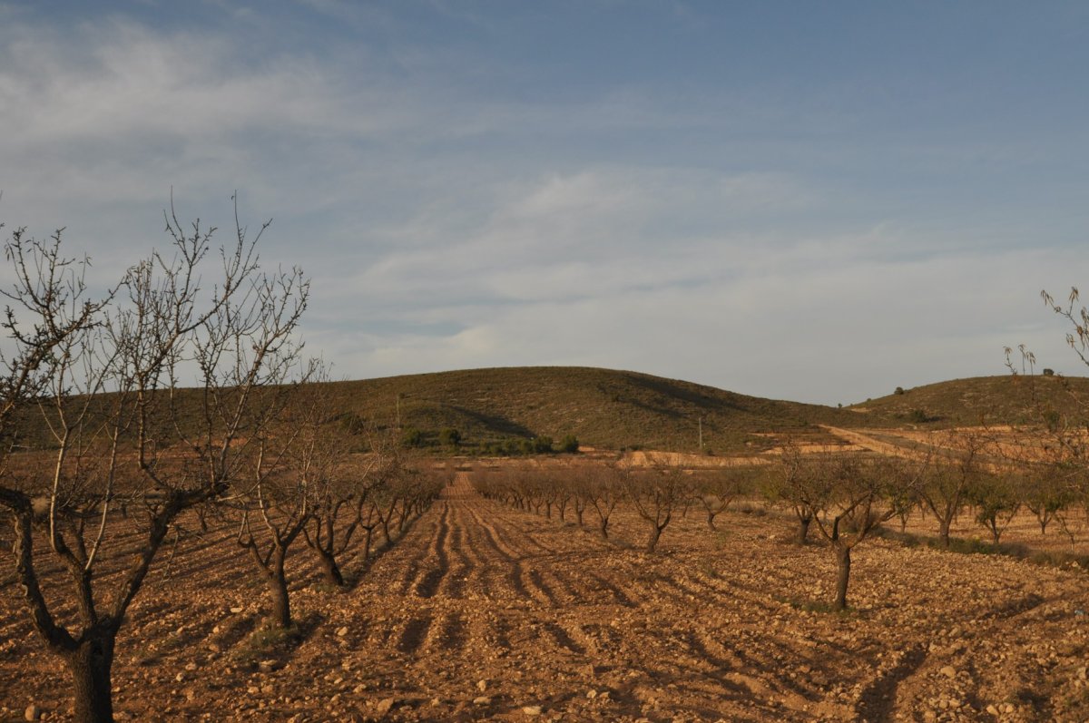 Propiedad 1