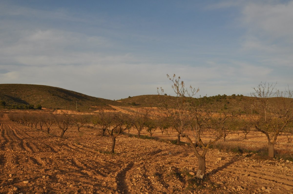 Propiedad 9