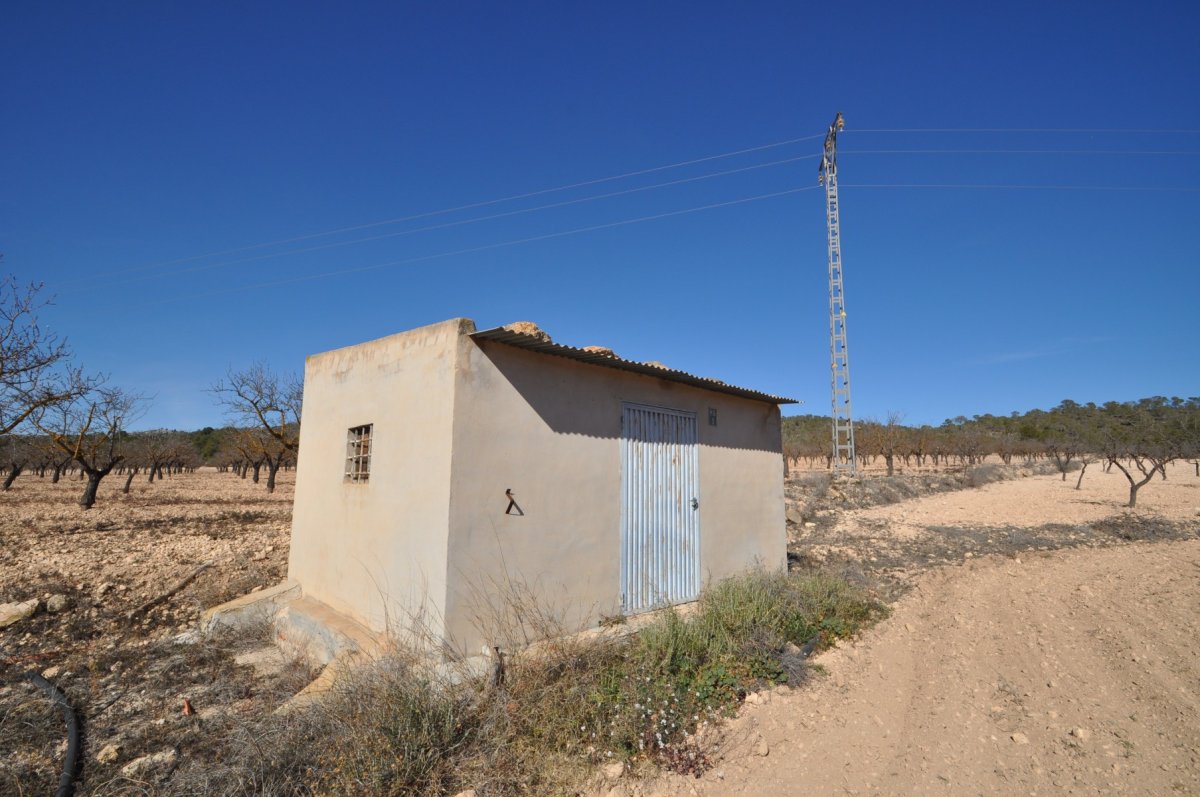 Propiedad 1