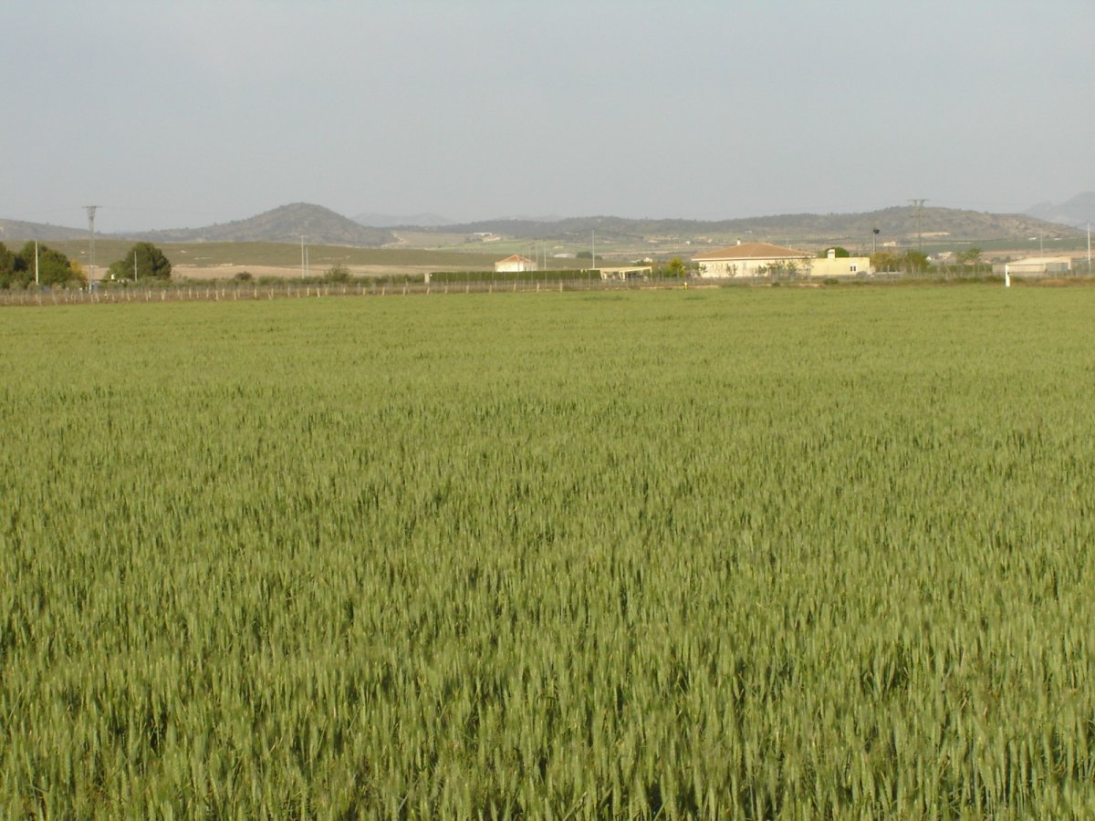 Propiedad 2