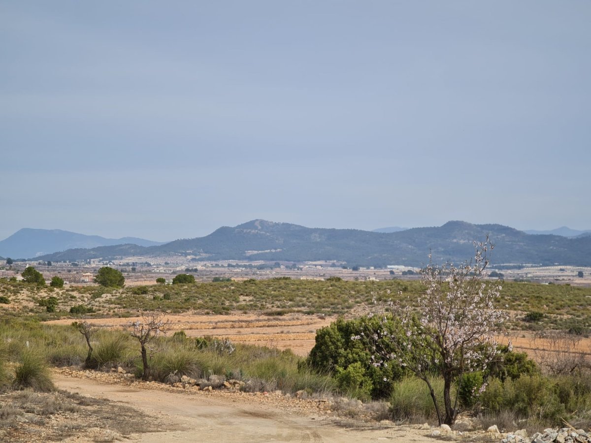 Propiedad 24