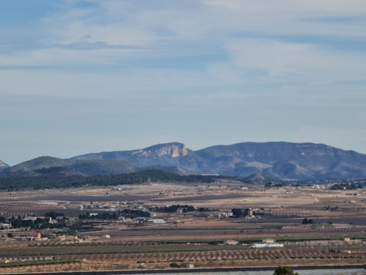 Propiedad 10