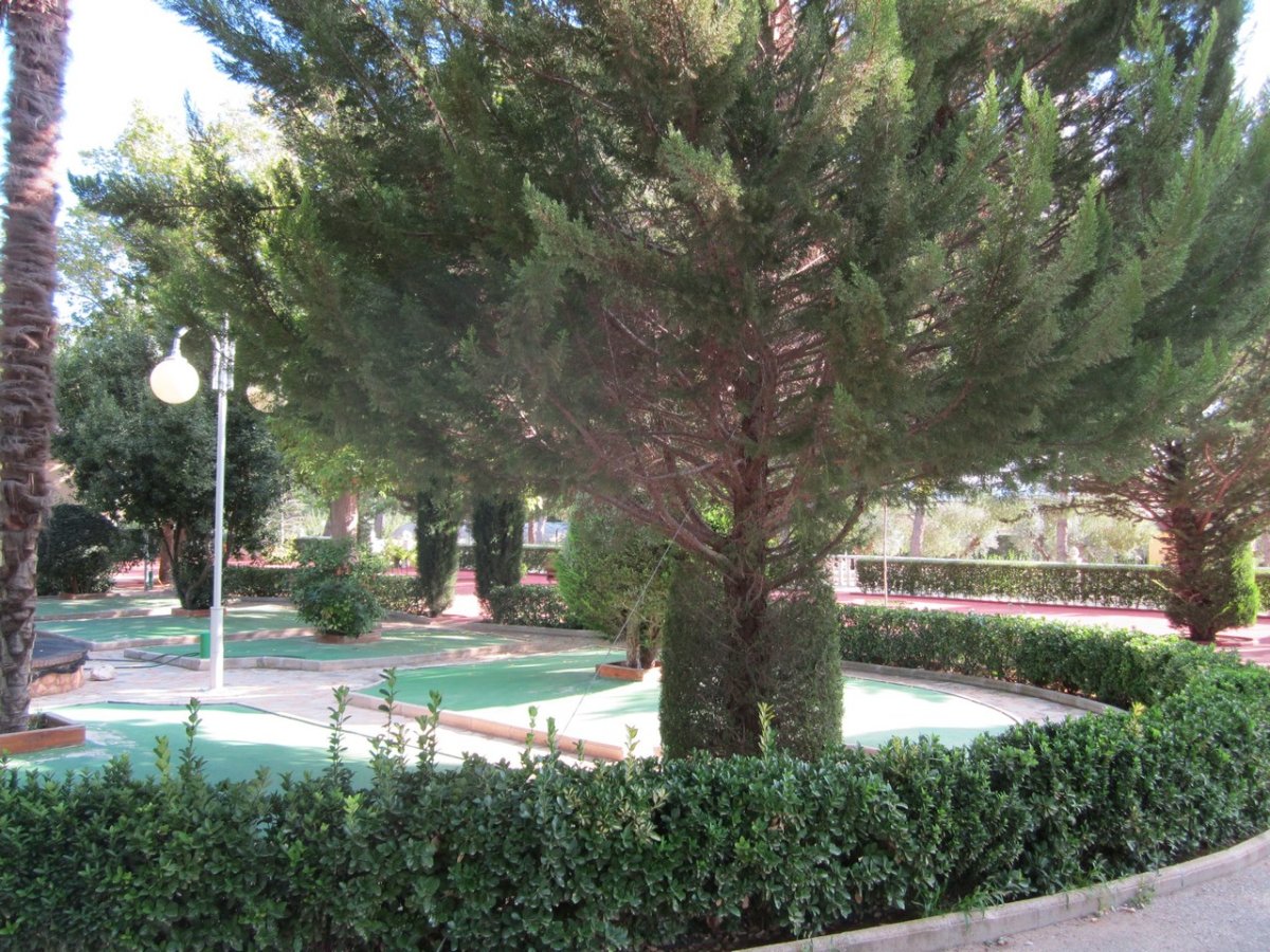 Propiedad 8