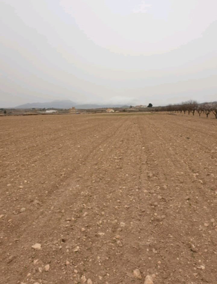 Propiedad 5