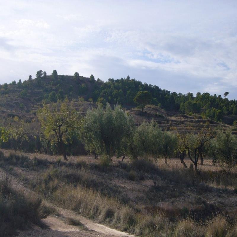 Propiedad 2