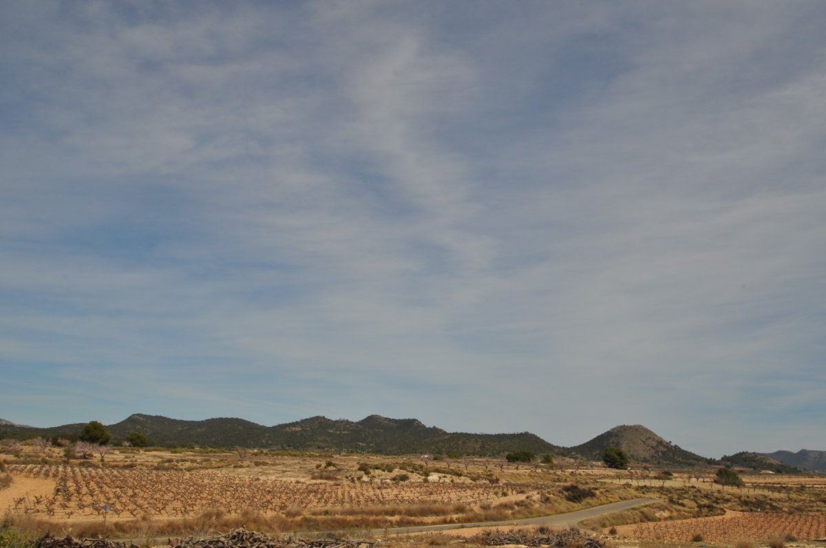 Propriedade 26